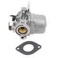 Mtd Carburetor Asm BS-590399